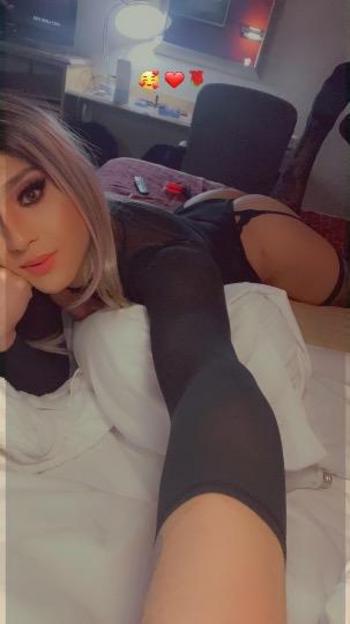 2016813348, transgender escort, South Jersey