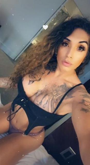 9296558977, transgender escort, South Jersey